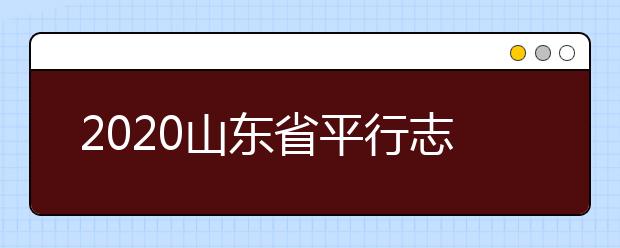 2020山東省平行志愿怎么報？平行志愿分幾類？