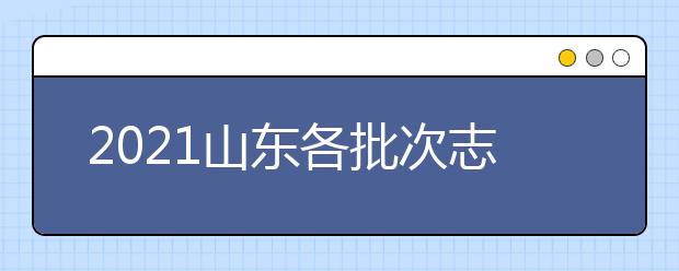 2021山東各批次志愿是如何設置？考生如何填報？