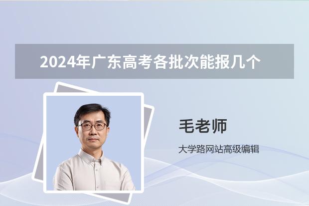 2024年廣東高考各批次能報(bào)幾個志愿